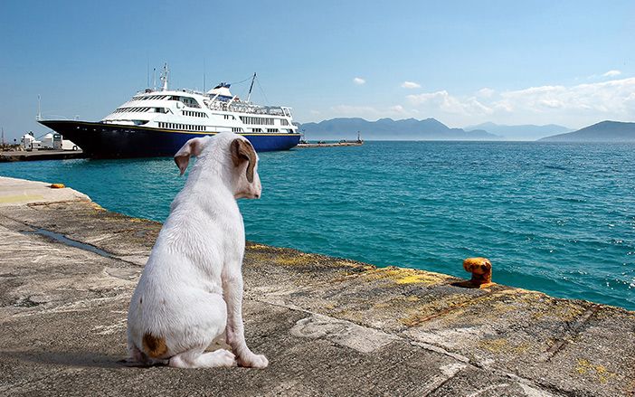 Ναυτιλία